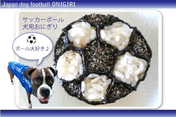 気分はサッカー選手 サッカーボール犬用おにぎり 2012年6月29日 金 より Webショップにて全国発売開始 ドッグダイナー株式会社 プレスリリース配信代行サービス ドリームニュース