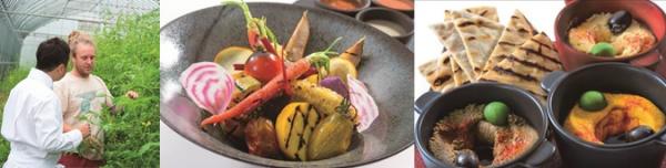 訪日外国人のお客様、地元の健康志向のお客様向けメニューを充実させた北海道の大地の恵みを堪能いただける、地産地消の新形態・自然派レストラン「ファーム　トゥ　テーブル『テラ』」９月１９日札幌にオープン