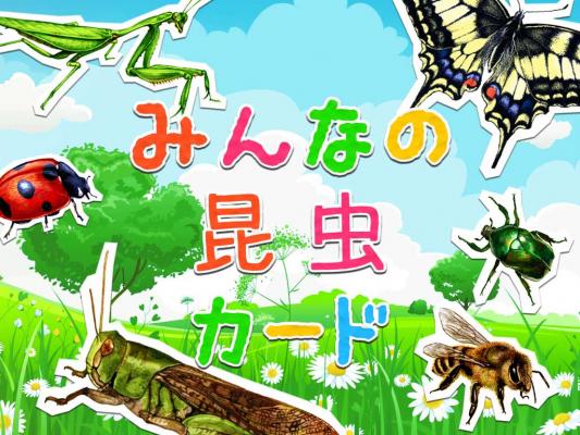 幼児向け知育カードアプリ第2弾「みんなの昆虫カード」リリース－自分の好きな昆虫を見つけて楽しく覚えよう！－