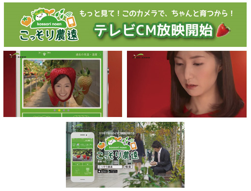 地方創生 農業IoT『こっそり農遠』ミス『晴れ娘』初出演のTV CM12/16（水）より放映開始！