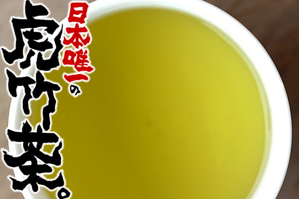 日本唯一の虎竹茶の新茶ができました。新鮮な竹茶葉でより香り高く。