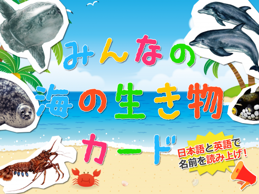 海のへんないきものが大集合！「みんなの海の生き物カード」リリース～親子で色んな生き物を楽しくおぼえよう！～