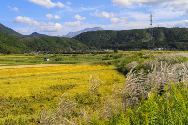 健康社員促進のために自然プログラムを活用した福利厚生イベント支援を始めました。