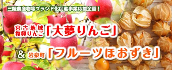 ～三陸農産物等ブランド化促進事業応援企画～ 『宮古地域復興りんご「大夢」』と岩泉町フルーツほおずき生果実セットの販売を2016年9 月28日（水）より開始