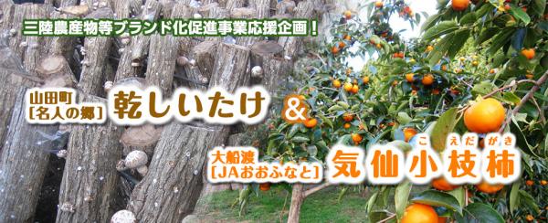 ～三陸農産物等ブランド化促進事業応援企画～ 『山田町〈名人の郷〉乾しいたけ』と『大船渡〈ＪＡおおふなと〉気仙小枝柿』の販売を2016年11 月16日（水）より開始