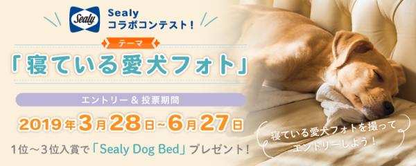 世界の高級ホテルにも採用されるベッドメーカーSealy（シーリー）開発 最高級の「犬ベッド」がもらえる  愛犬ポータルサイト『ワンダホー』でコラボコンテストを開催！ | キャンピングカー株式会社 | プレスリリース配信代行サービス『ドリームニュース』