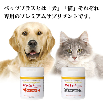 犬 猫専用プレミアムサプリメント ペッツプラス がgoogle広告を開始 株式会社ウインドベル プレスリリース配信代行サービス ドリームニュース