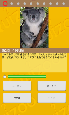 クイズを楽しみながら動物にもっと詳しくなろう Quizoo 動物クイズ アプリ 株式会社ビーグリー プレスリリース配信代行サービス ドリームニュース