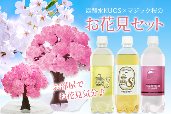 インドア花見、エア花見におすすめ！ 雨の日でもお酒が飲めなくても楽しめる『お花見セット』