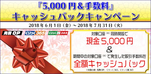 『5,000円＆手数料』キャッシュバックキャンペーン～先物・オプション、くりっく365、くりっく株365口座が対象～