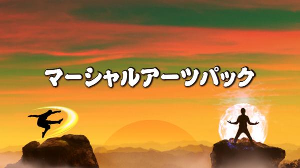 【新発売！】胸を熱くさせる必殺技の連続！伝説の技が炸裂する戦闘エフェクト