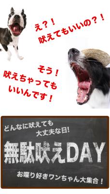 ペット業界唯一。吠えちゃう愛犬と一緒に宿泊できる日「無駄吠えＤＡＹ」が1泊8万円の高級旅館でも大好評！14年目を迎える2018年8月より開催数増回。