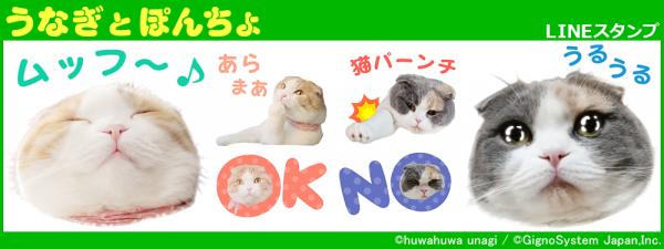 SNSで大人気のにゃんこ 「うなぎとぽんず」 LINEスタンプ販売開始