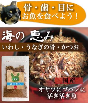 魚の栄養たっぷりの犬のご飯のトッピング 骨 目 歯に良いお魚が沢山入った 海の恵み の発売を13年９月18日より開始することとなりました ドッグダイナー株式会社 プレスリリース配信代行サービス ドリームニュース