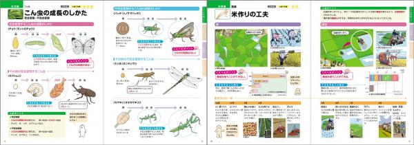 できる子はくらべている！ちがいがわかる図鑑型教材『中学入試 くらべてわかるできる子図鑑（理科・社会）』刊行！ | 株式会社旺文社 |  プレスリリース配信代行サービス『ドリームニュース』