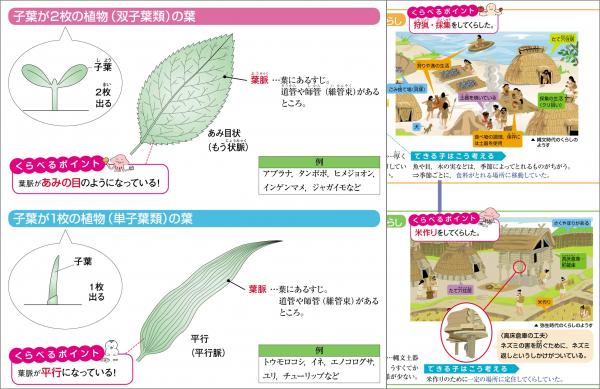 できる子はくらべている！ちがいがわかる図鑑型教材『中学入試 くらべてわかるできる子図鑑（理科・社会）』刊行！ | 株式会社旺文社 |  プレスリリース配信代行サービス『ドリームニュース』