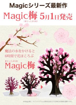 「令和」の由来の万葉集の「梅花の歌三十二首」を記念して マジック梅　公式サイトオープン