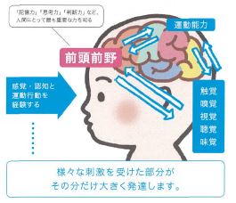 脳科学に基づく「くぼた式暗算」で育てる、子どもの発想力と集中力、生きる力。 0歳からの育脳教室「くぼたのうけん」が、夏期限定の「くぼた式暗算コース」を開講。