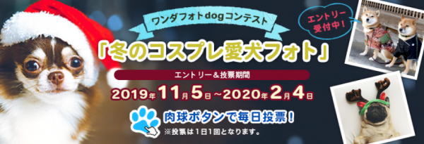 モコモコわんちゃんの冬がやってきた！ 愛犬ポータルサイト“ワンダホー”で 『冬のコスプレ愛犬フォト』コンテストを開催！