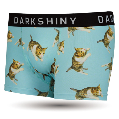 飛び猫とデザインアンダーウェアブランド「DARK SHINY Yellow Label　（ダークシャイニーイエローラベル）」とのコラボ商品が発売