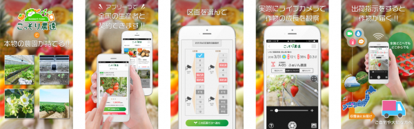 人気沸騰中！ボタン一つで、いちご農家に！ 農業IoTアプリ『こっそり農遠』で 岡山いちご“晴れ娘”のオーナー募集！！