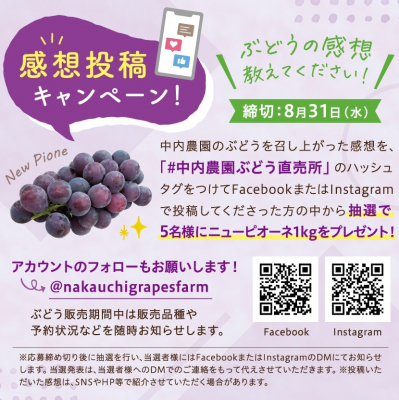 徳島県のぶどう農園直売所、「感想投稿キャンペーン」を実施中！抽選でニューピオーネ1kgプレゼント ～Instagram、Facebookにハッシュタグをつけて応募【締切2022年8月31日（水）】～