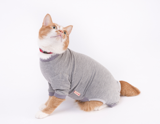 ぽぽねこ 猫用皮膚保護服 キャットプロテクションスーツ を新発売 アトピーやアレルギーの猫ちゃんの治療をサポート マピオンニュース